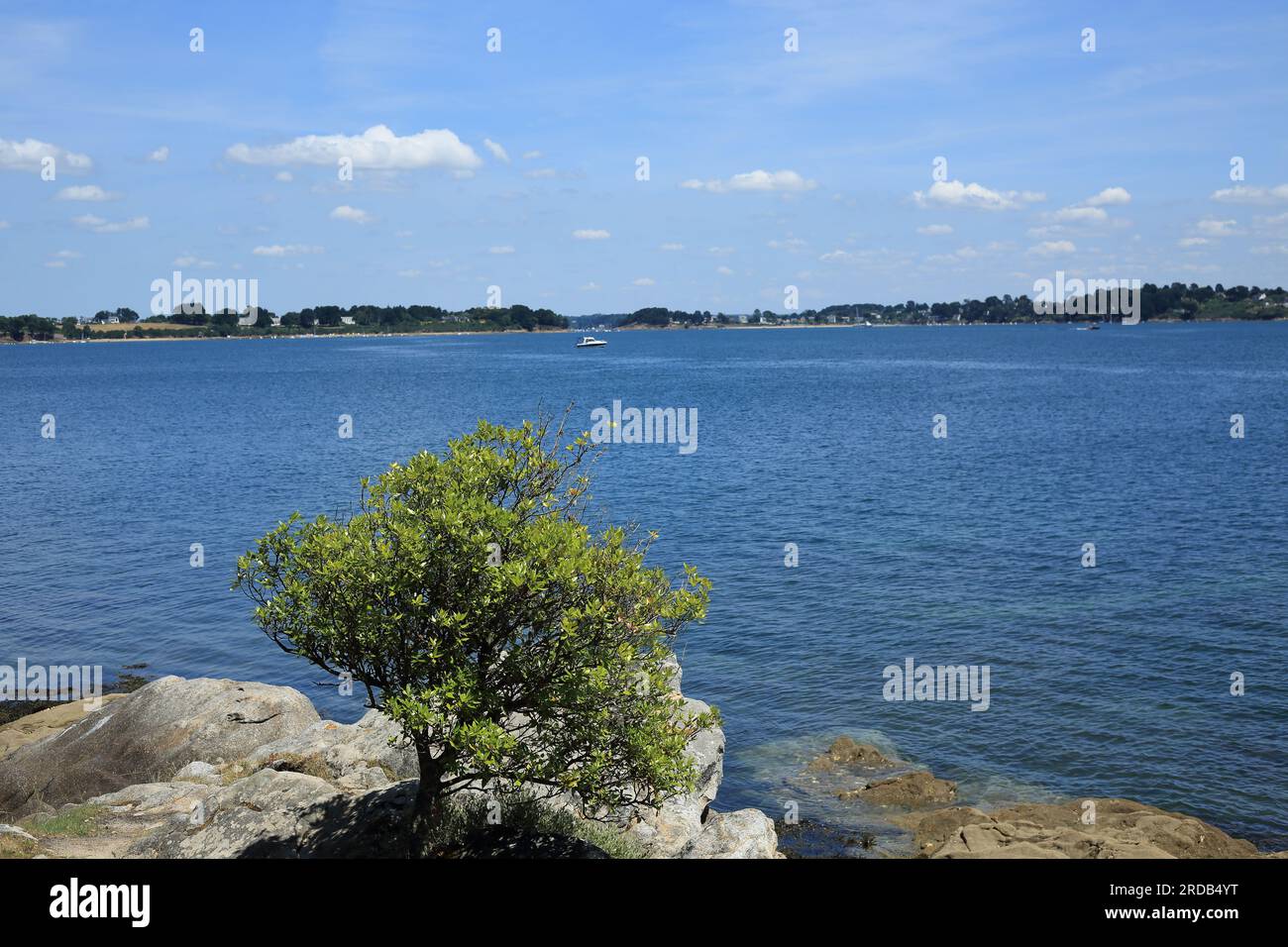 Vue sur l'Ile aux Moines depuis l'Ile de Berder, Larmor Baden, vannes, Morbihan, Bretagne, France Banque D'Images