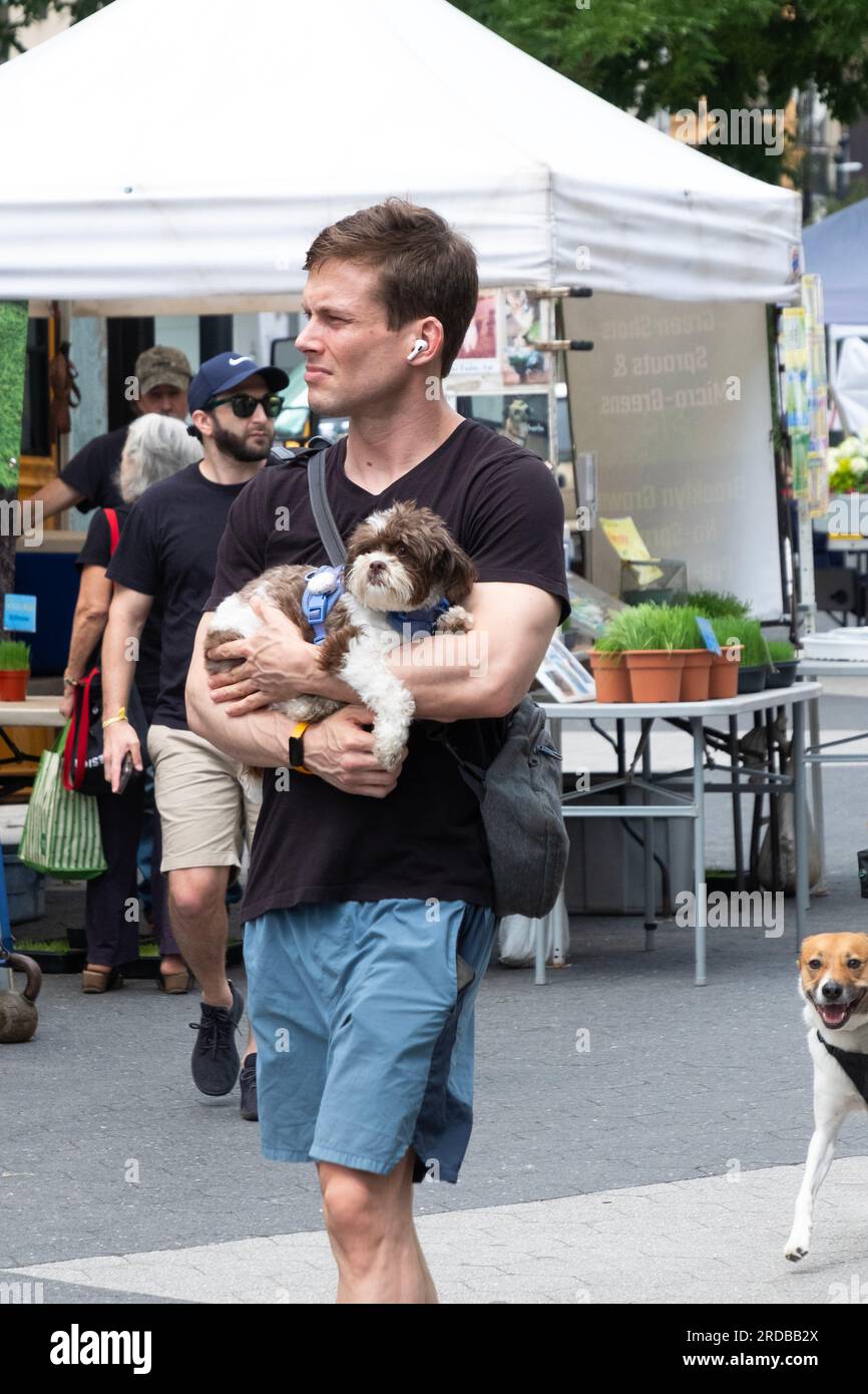 Au marché vert Union Square, un jeune homme porte son chien plutôt que de le promener. Été 2023, New York. Banque D'Images