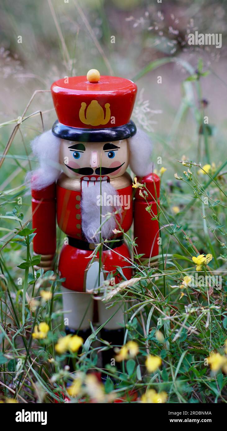 Casse-noisette, figurine traditionnelle de Noël - dans un environnement étrange parmi les fleurs. Banque D'Images