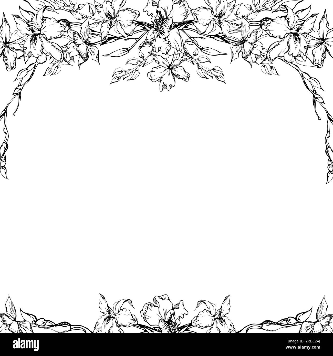 Fleurs et branches d'orchidées à encre vectorielle dessinées à la main, monochrome, contour détaillé. Composition de cadre carré. Isolé sur fond blanc. Conception pour Illustration de Vecteur