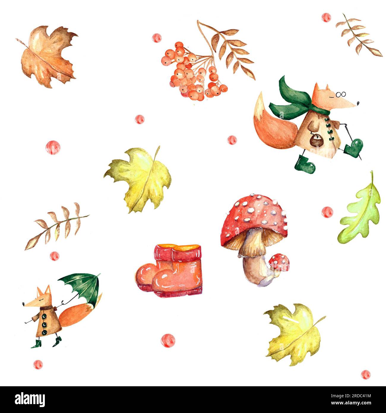 ensemble d'éléments aquarelle. Feuilles d'automne de frêne de montagne, érable, chêne. champignons vifs. Renards amusants et mignons. convient pour l'impression de cartes de vœux, inv Banque D'Images