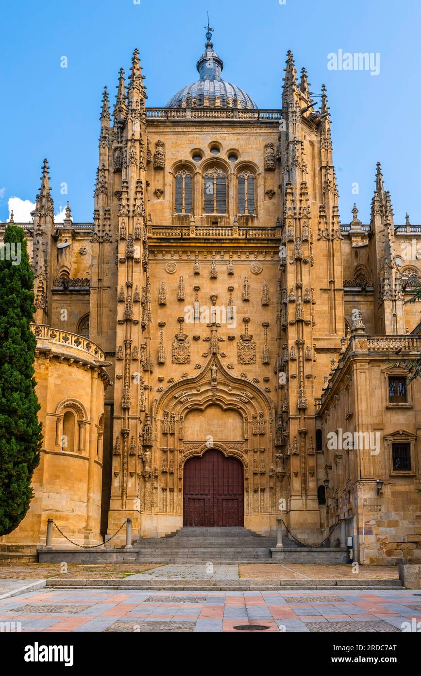 Nouvelle cathédrale construite au cours du 16e siècle dans le style renaissance, aussi appelé style plateresque. Salamanca, Espagne. Banque D'Images