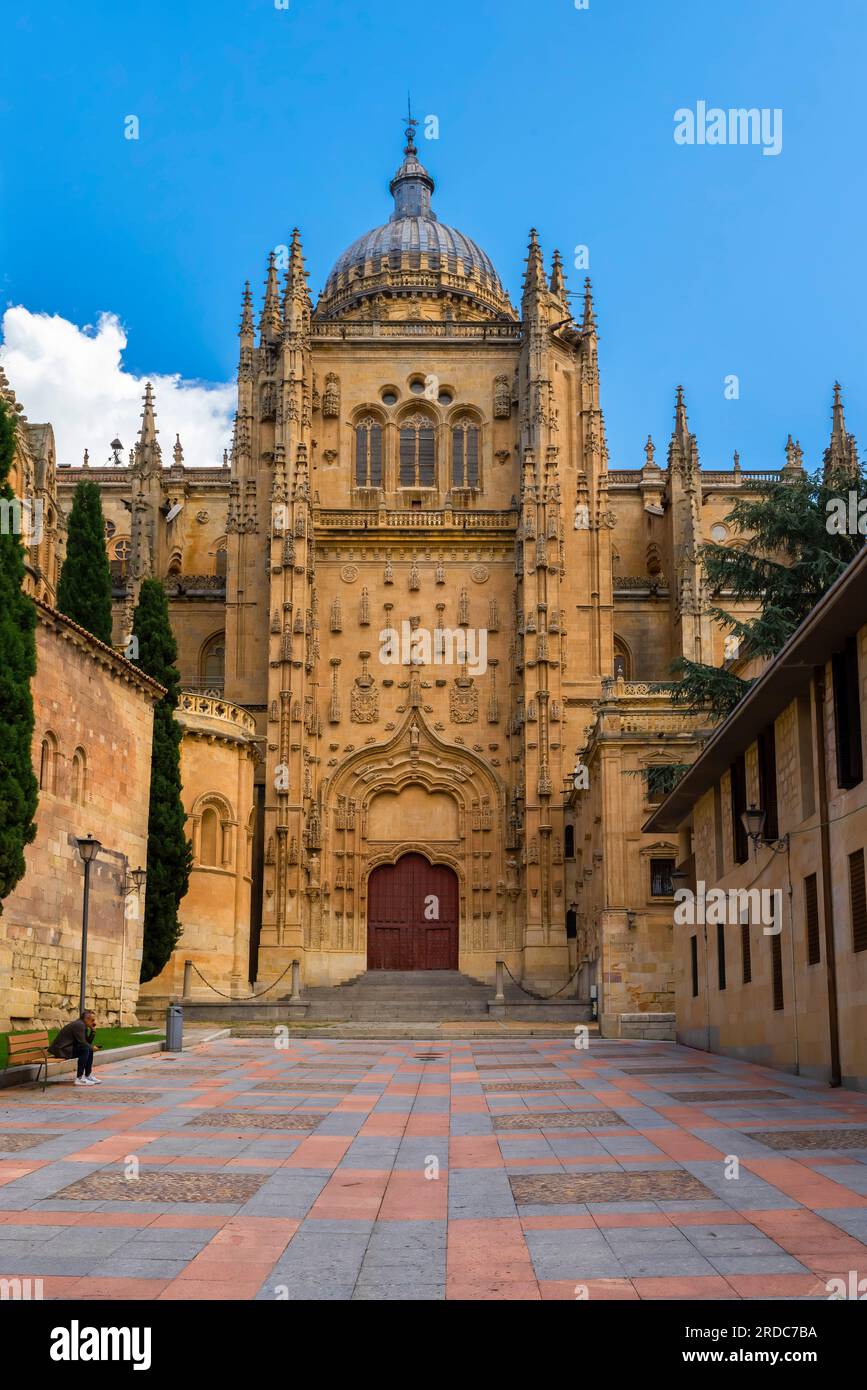 Nouvelle cathédrale construite au cours du 16e siècle dans le style renaissance, aussi appelé style plateresque. Salamanca, Espagne. Banque D'Images