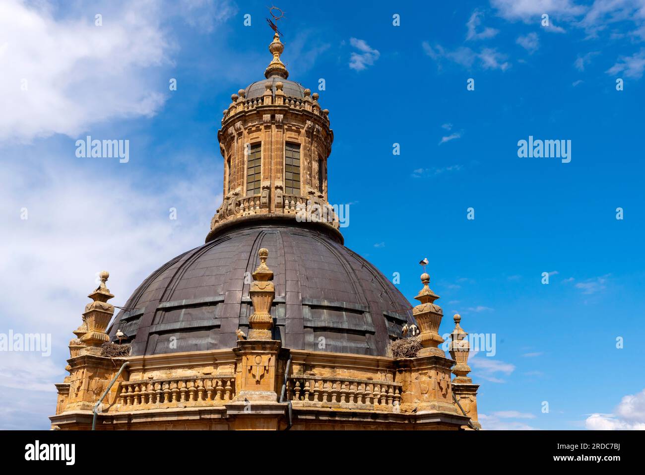 Vue sur le dôme de la Clerecía, Salamanque. Espagne. Capitale de la province de Salamanque dans la communauté autonome de Castille-et-León. Banque D'Images