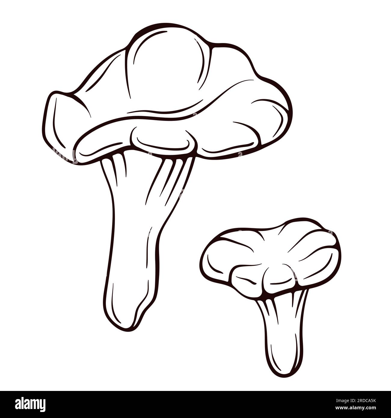 Chanterelle champignons dans le style art de ligne. Icône de croquis dessiné à la main de champignon. Illustration vectorielle isolée sur fond blanc. Illustration de Vecteur