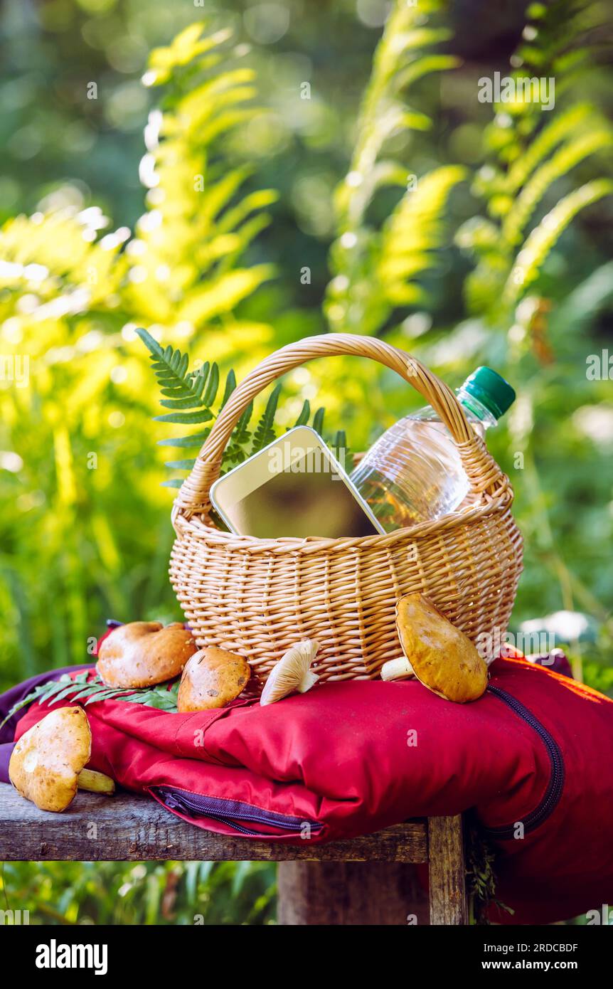 Lorsque vous allez à la cueillette des champignons, apportez un téléphone chargé, une bouteille d'eau et une veste de couleur vive en cas de perte dans la forêt. Banque D'Images