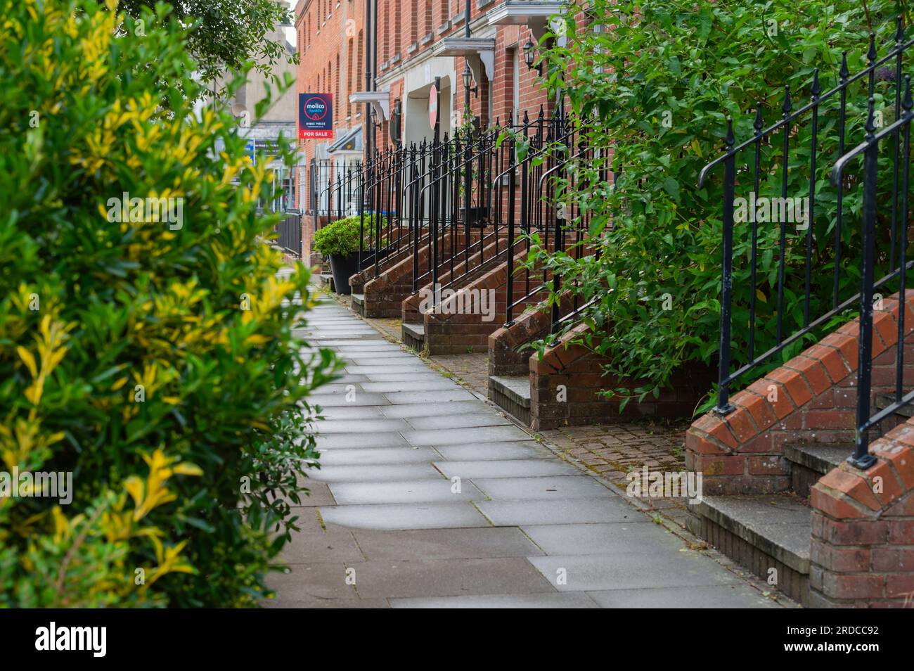 Chemin humide ou pavage sur un trottoir après la pluie, avec des marches menant aux portes d'entrée des maisons comme mesure de prévention des inondations dues aux inondations, Royaume-Uni Banque D'Images
