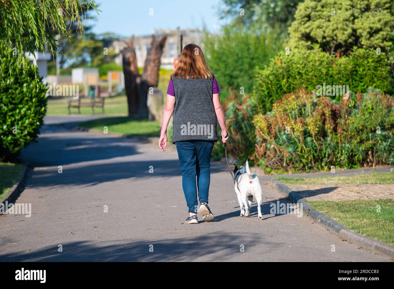 Une femme promenant un chien le long d'un chemin dans un parc en été, Royaume-Uni. Banque D'Images
