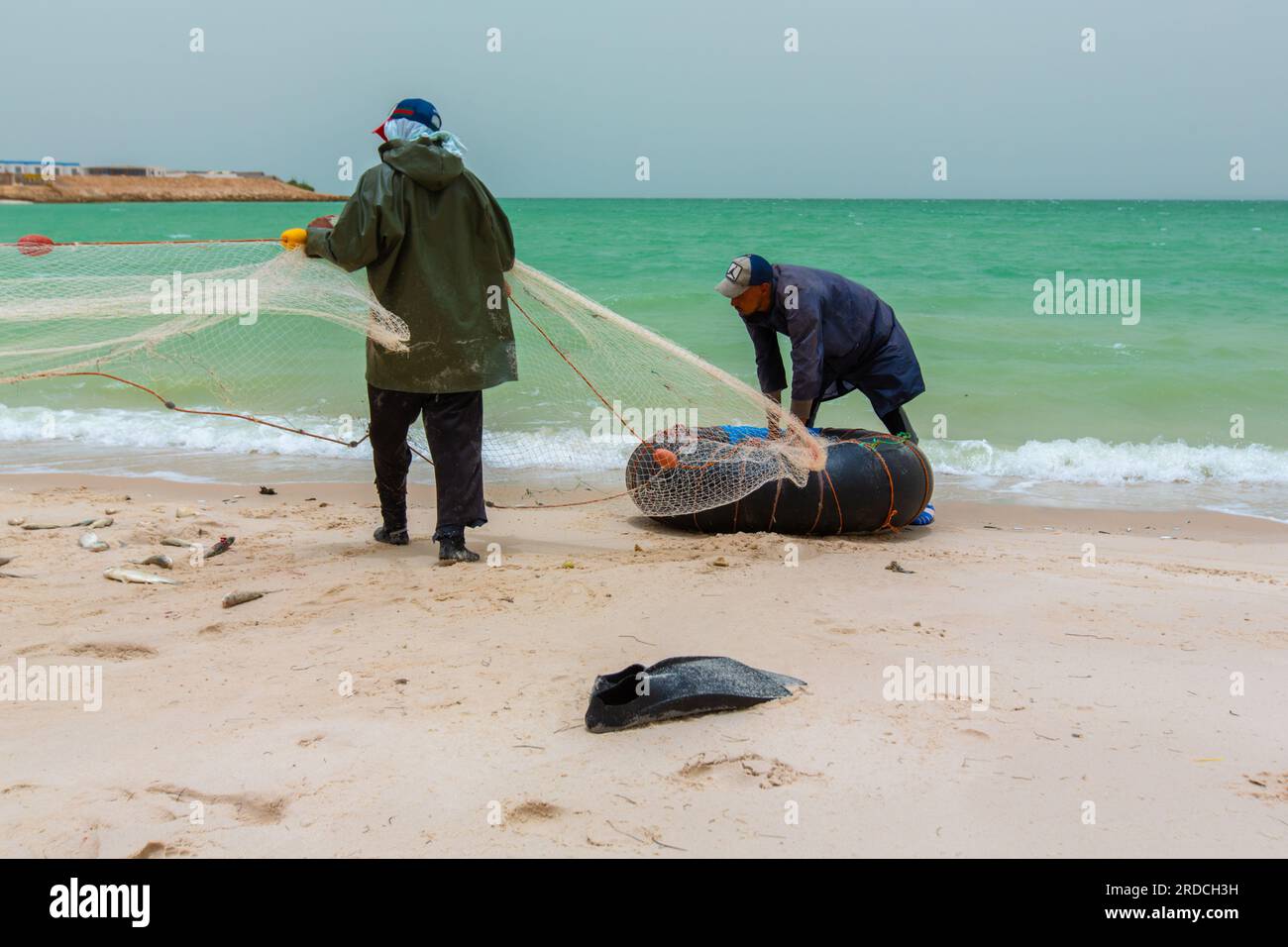 Dakhla, Maroc - 20 juin 2022 : les pêcheurs récoltent leurs filets remplis de poissons capturés sur la plage de Dakhla au Maroc Banque D'Images Dakhla, Maroc - 20 juin 2022 : les pêcheurs récoltent leurs filets remplis de poissons capturés sur la plage de Dakhla au Maroc Banque D'Images