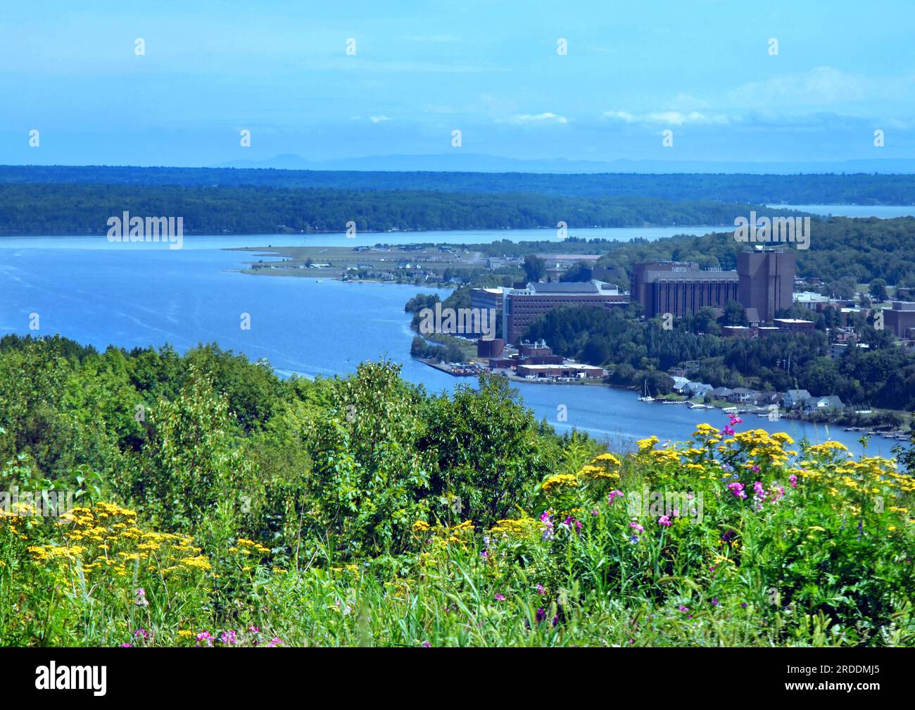 Les fleurs sauvages surplombent le campus Michigan Tech à Upper Peninsula, Houghton, Michigan. Eaux de portage et collège de paysage de chaîne de montagne lointaine. Banque D'Images