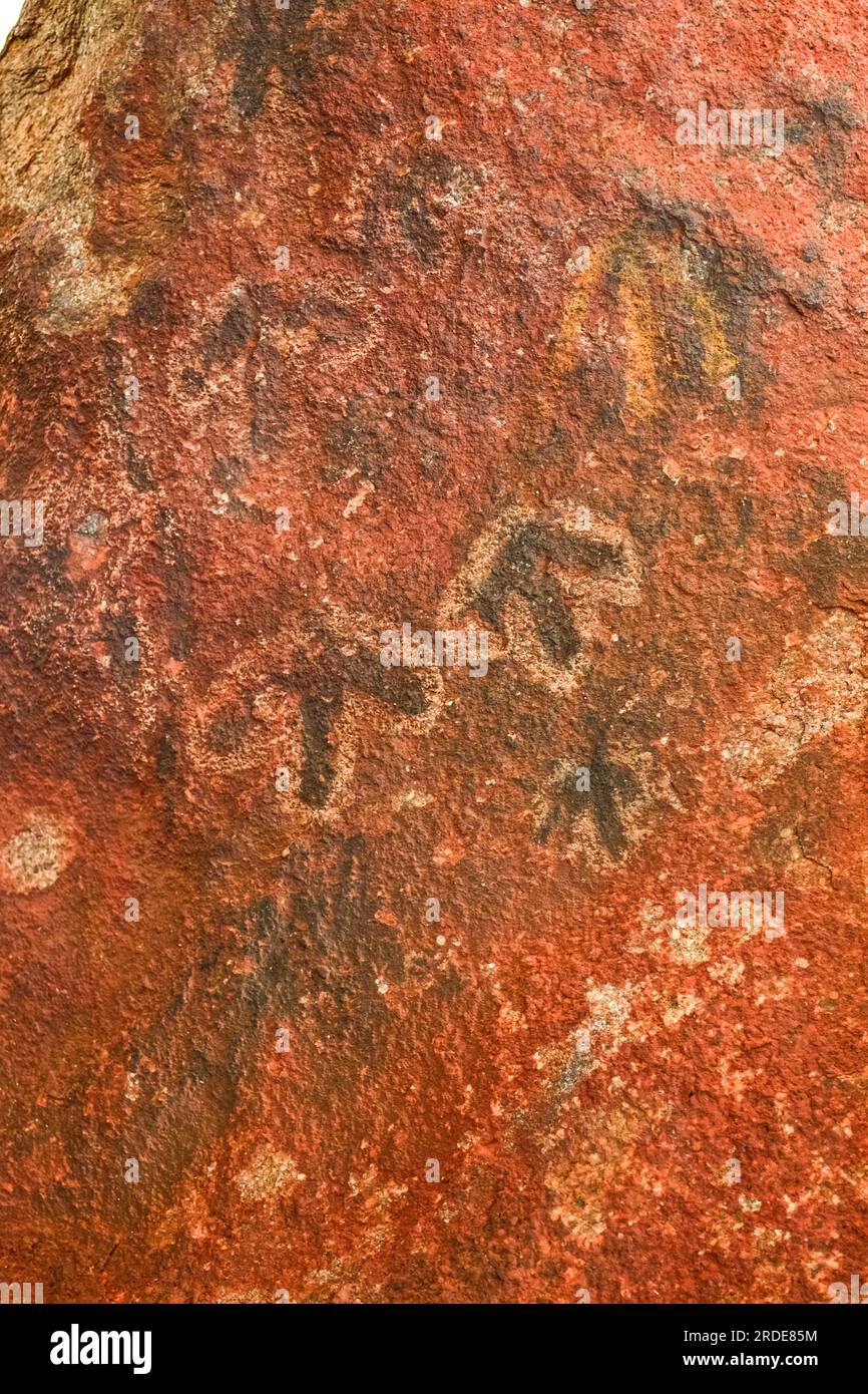 Art rupestre aborigène au parc national d'Uluru Kata Tjuta dans le désert d'Australie centrale Banque D'Images