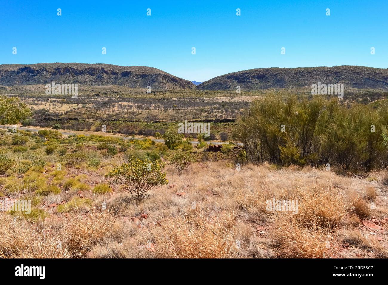 Vue panoramique de la région de Kata Tjuta / Mont Olga et du désert occidental dans le territoire du Nord en Australie. Banque D'Images