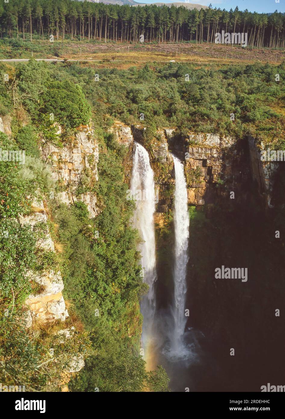Les chutes Mac-Mac sont une chute d'eau de 65 mètres sur la rivière Mac-Mac dans la réserve naturelle de la forêt Mac-Mac, à Mpumalanga, en Afrique du Sud. Banque D'Images