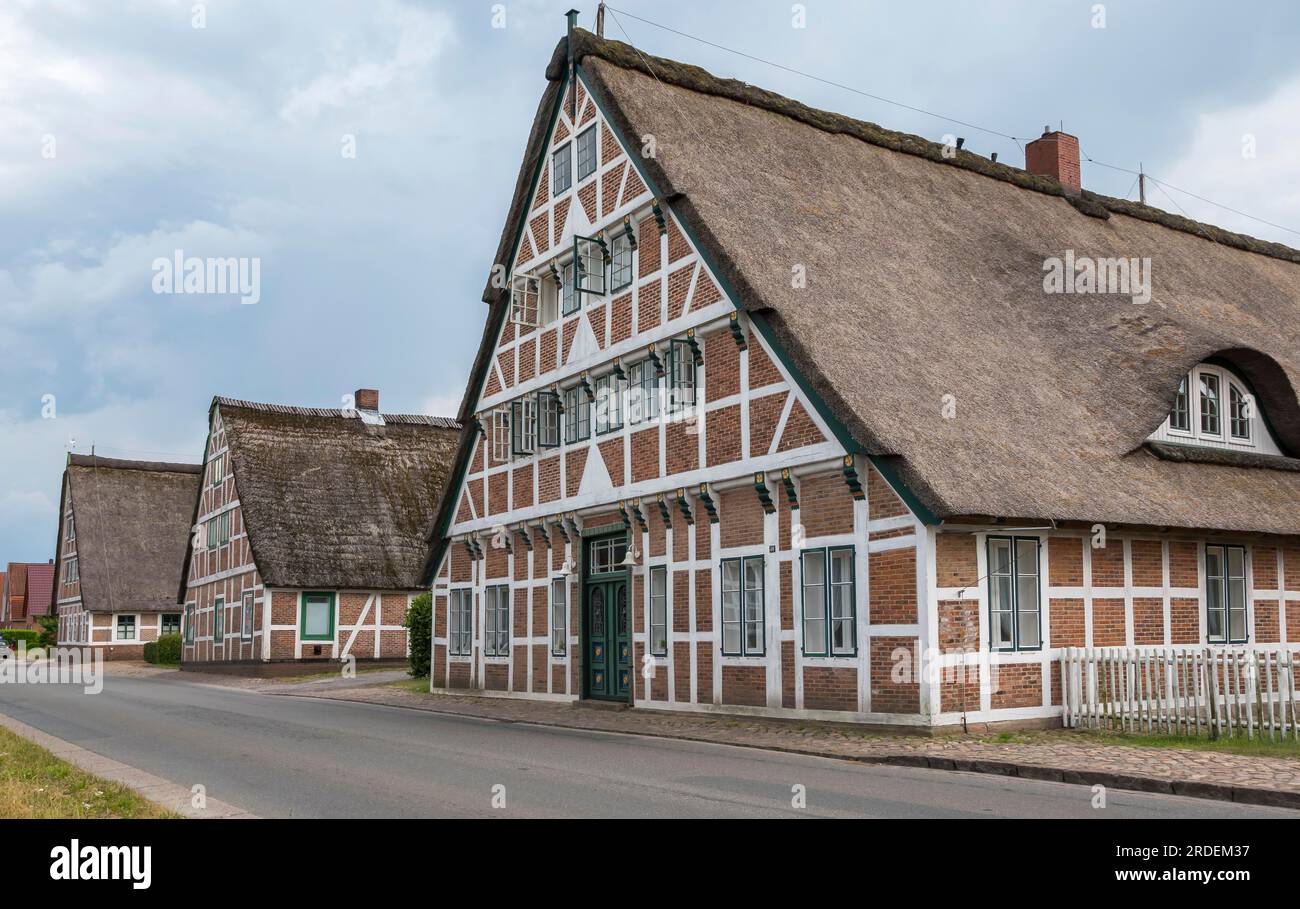 Rue avec maisons de ferme historiques à colombages en chaume, Altlaender Bauernhaeuser, Altes Land, Basse-Saxe, Allemagne Banque D'Images