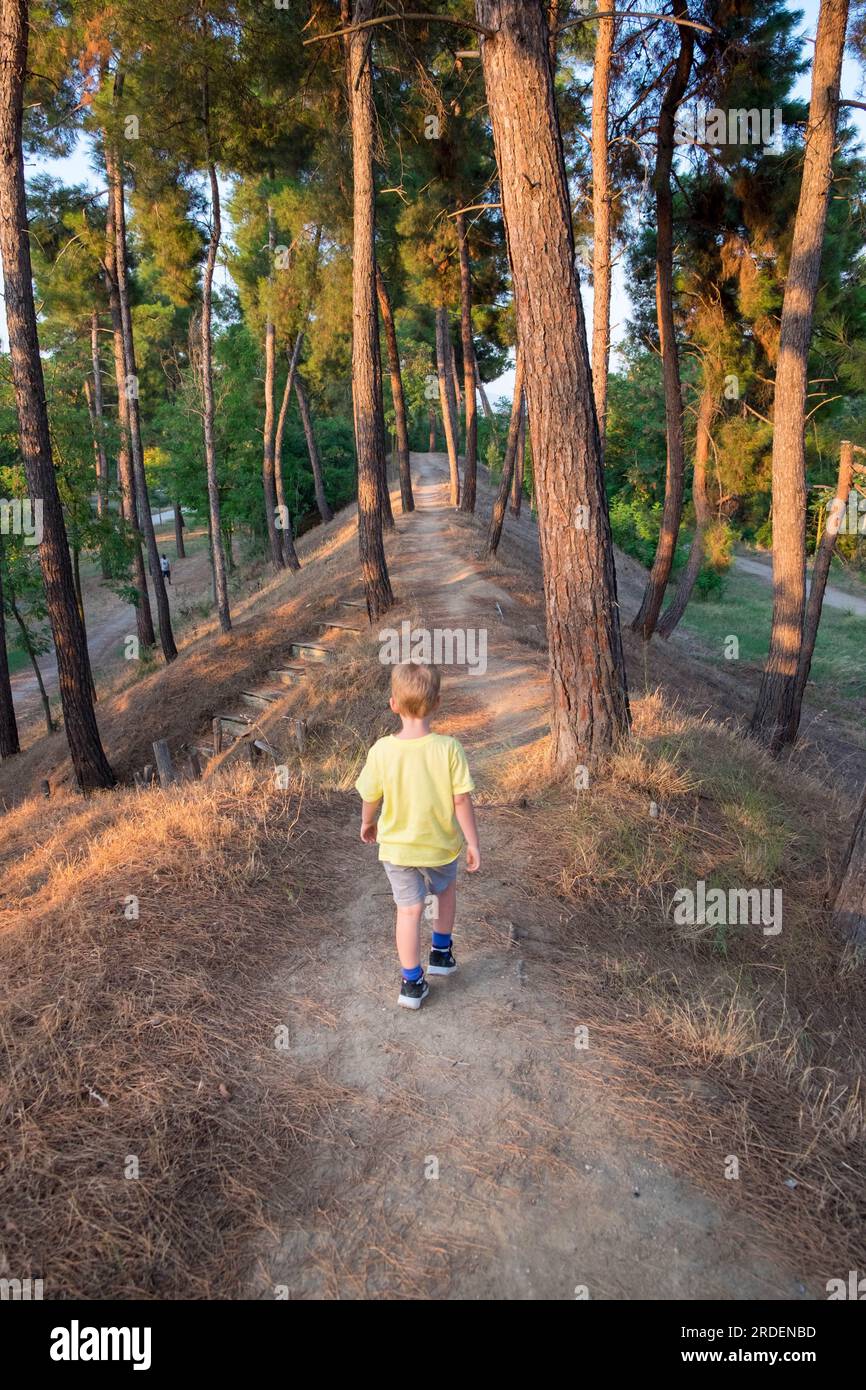 Petit garçon aux cheveux blonds se réveillant dans un chemin entouré d'arbres Banque D'Images