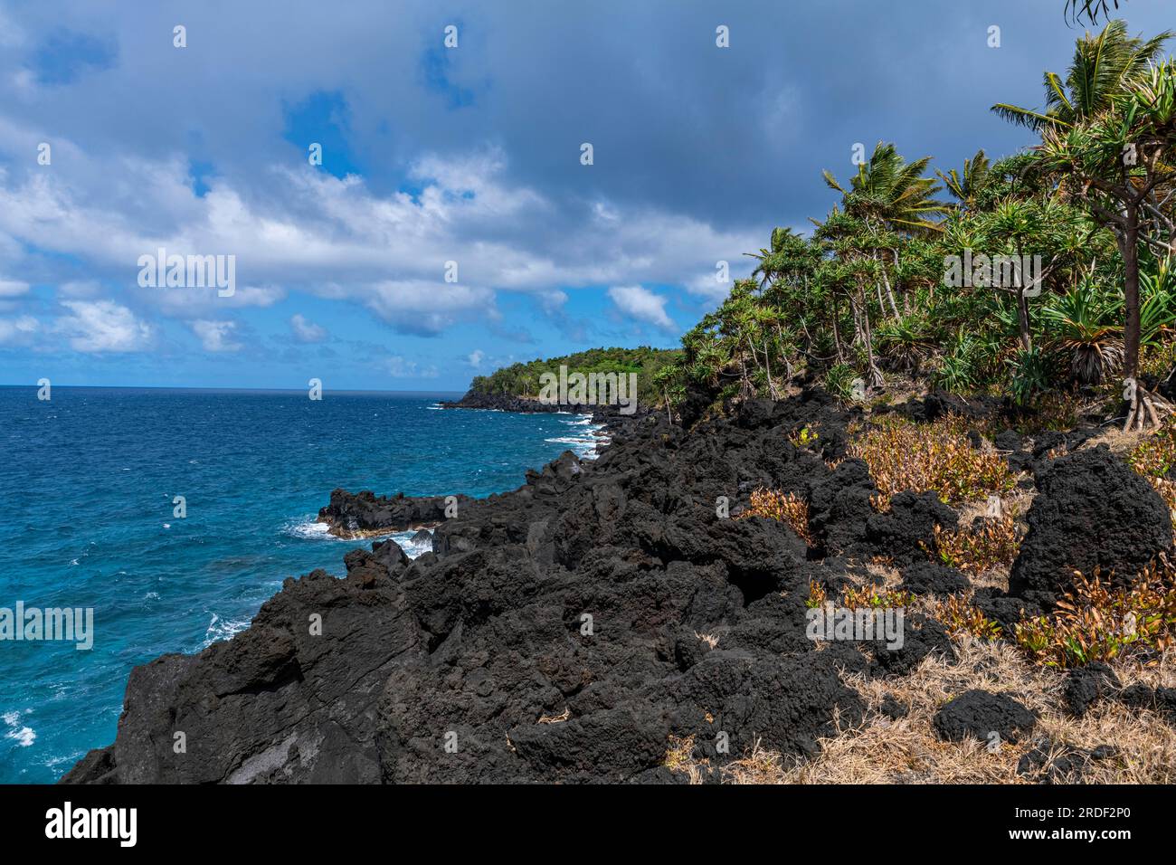 Côte sud volcanique de Taveuni, Fidji, Pacifique Sud Banque D'Images