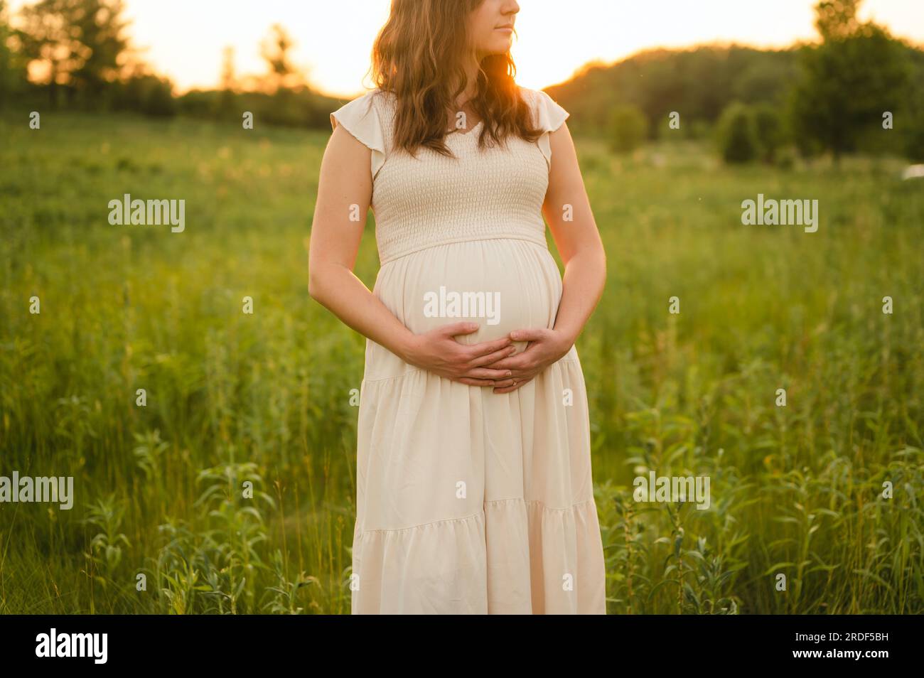 Femme enceinte soutenant la bosse de grossesse dans une prairie verte à l'extérieur Banque D'Images