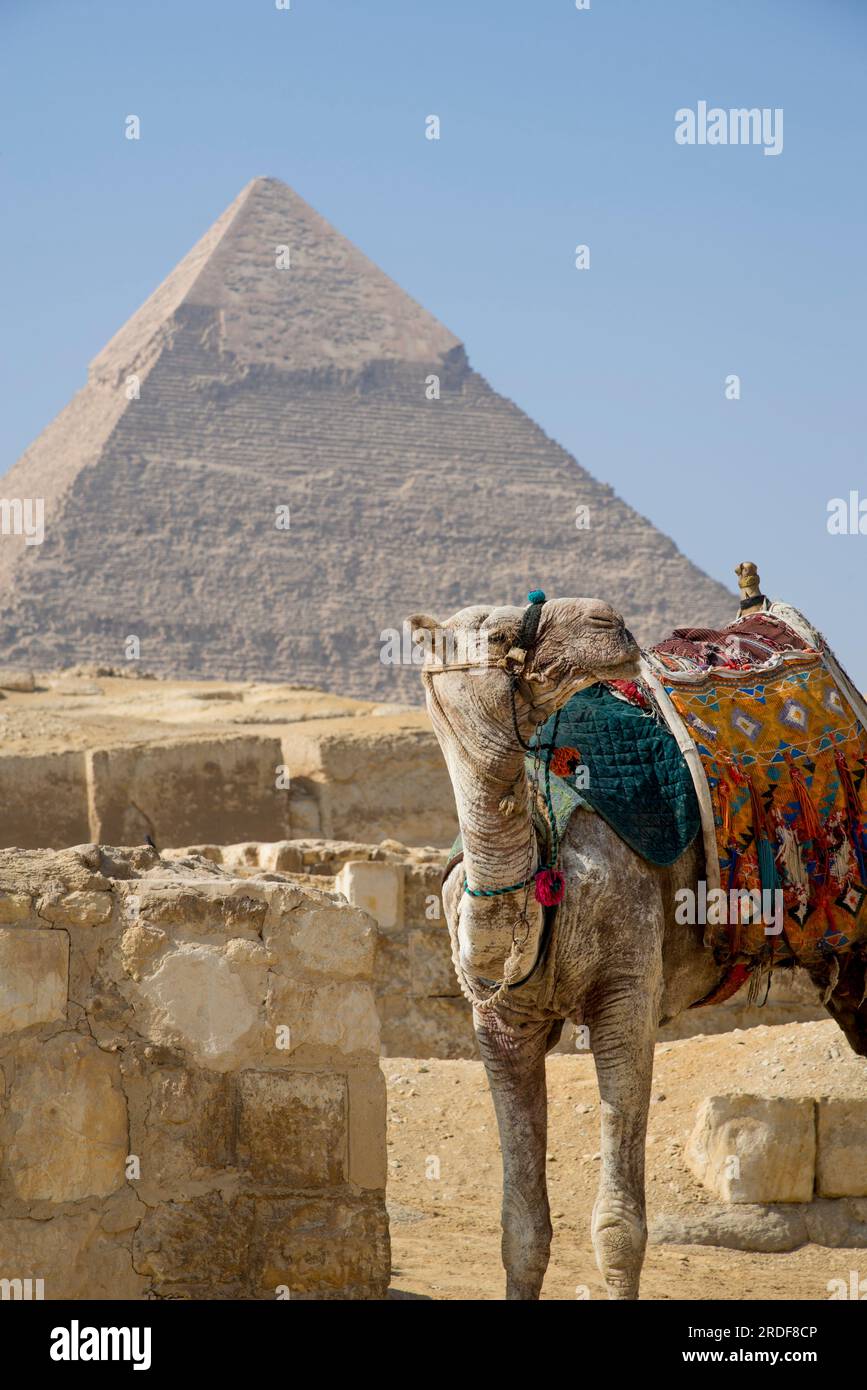 Paysage des pyramides de Gizeh Banque D'Images