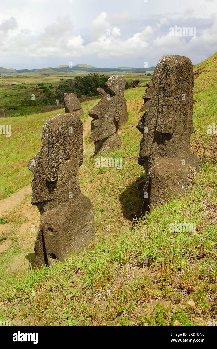 Sculptures en pierre de Moai, Rano Raraku, Rapa Nui, Île de Pâques, Moai, Chili Banque D'Images