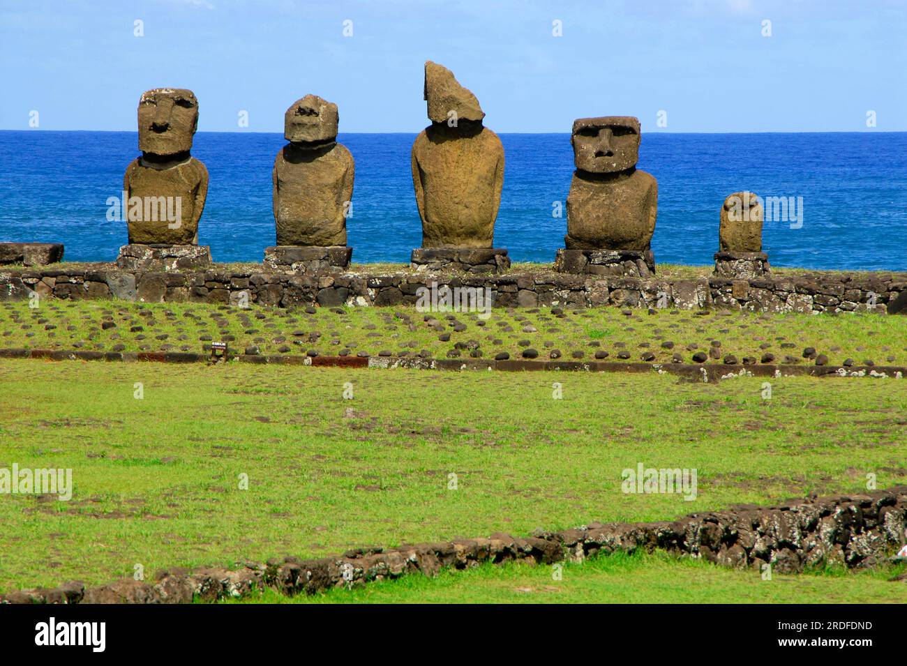 Sculptures en pierre de Moai (Roa (poisson)) Hanga, Rapa Nui, Île de Pâques, Moai, Chili Banque D'Images