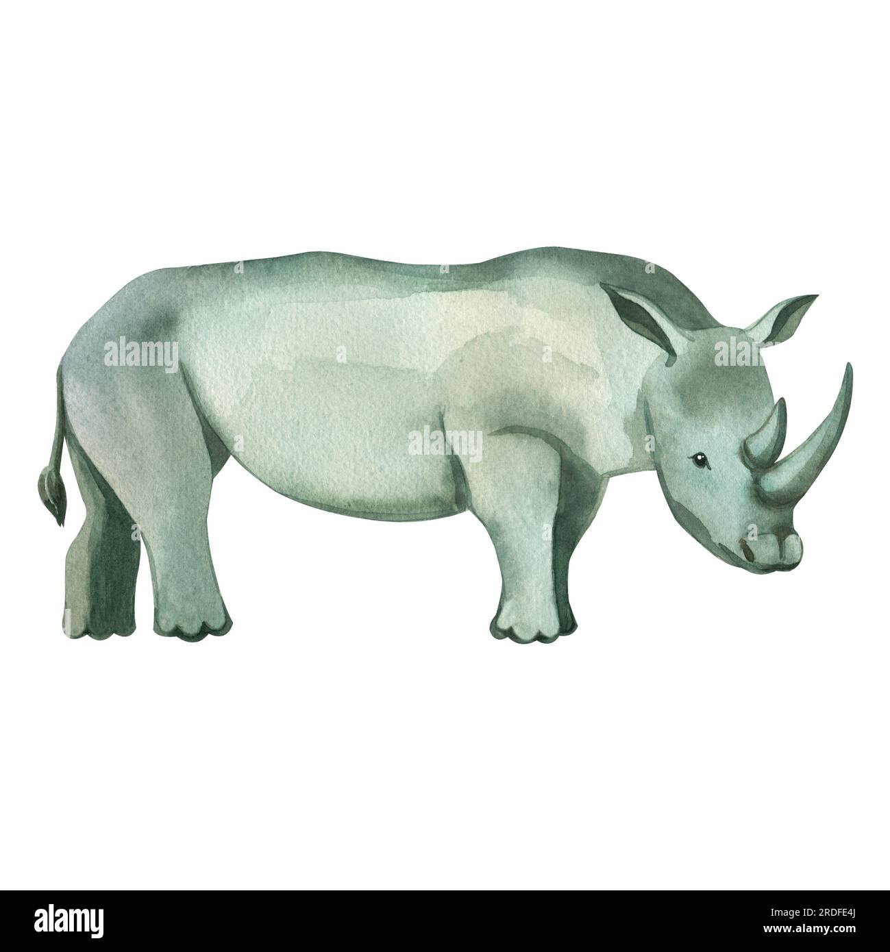 Rhinocéros africains. Dessin à l'aquarelle, rhinocéros dessiné à la main à l'aquarelle sur fond blanc avec de la peinture bleue et grise. Convient à l'impression Banque D'Images