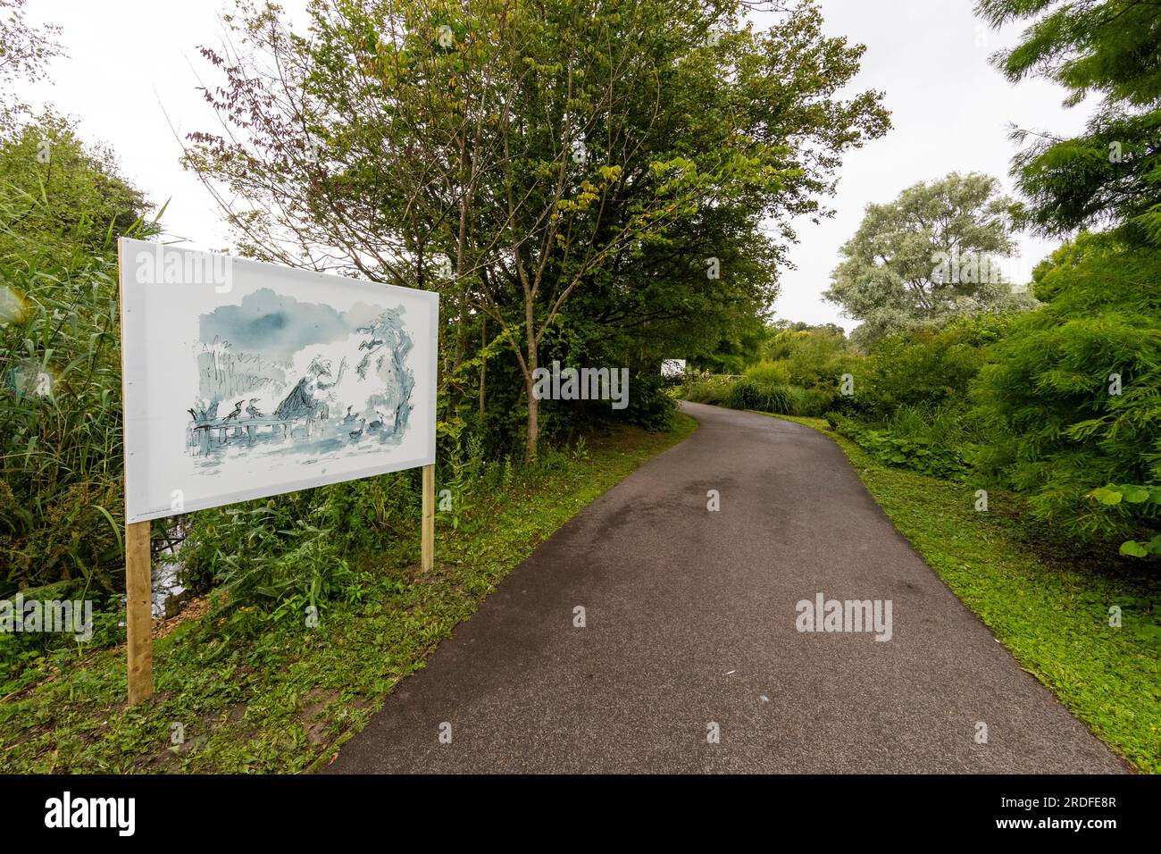 Exposition Quentin Blake 'Drawn to Water' à WWT Slimbridge. Banque D'Images