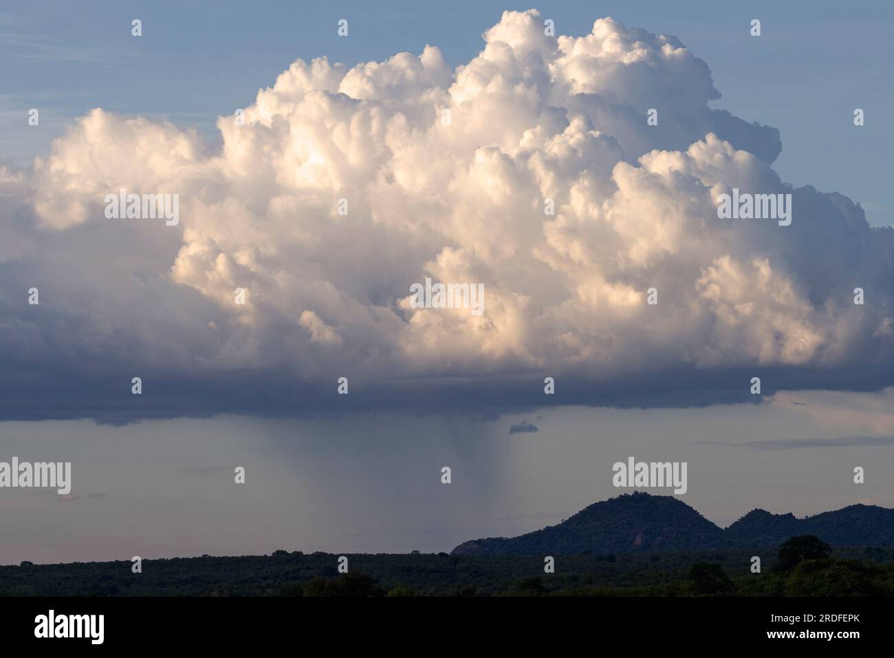 Une douche légère tombe d'un nuage de Cumulus lorsque le crépuscule empiète. Des nuages comme celui-ci peuvent se développer davantage pour devenir des Cumulonimbus imposants. Banque D'Images