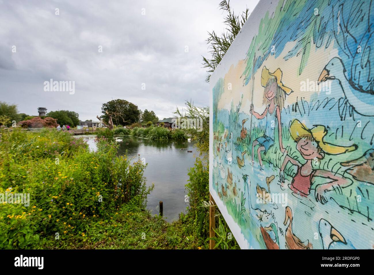 Exposition Quentin Blake 'Drawn to Water' à WWT Slimbridge. Banque D'Images