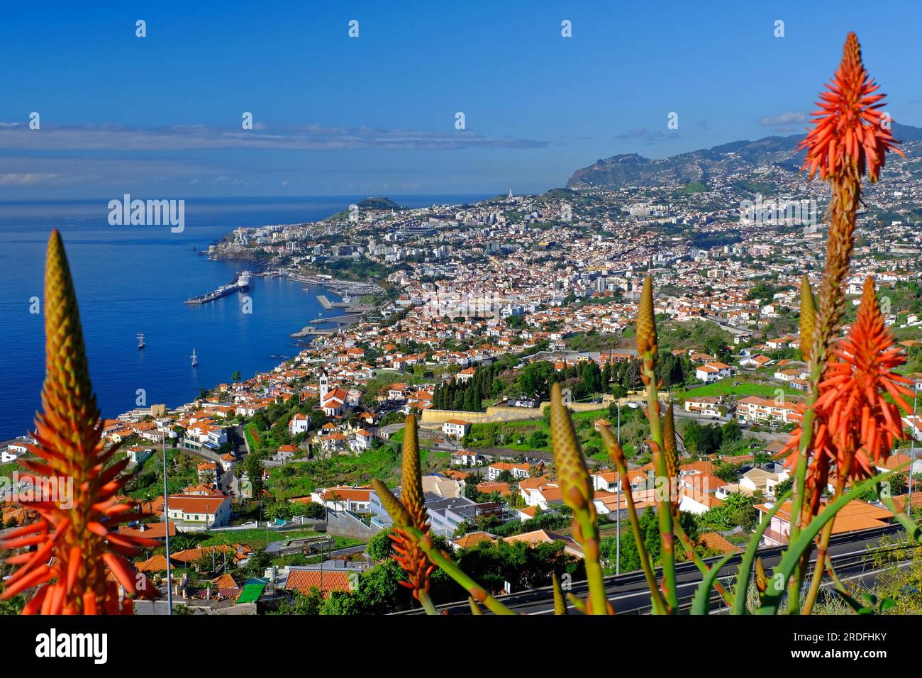 Blick vom Aussichtspunkt auf Funchal, Hafen, Kreuzfahrtschiff, Miradouro das Neves, Aloen, Funchal, Madère Banque D'Images