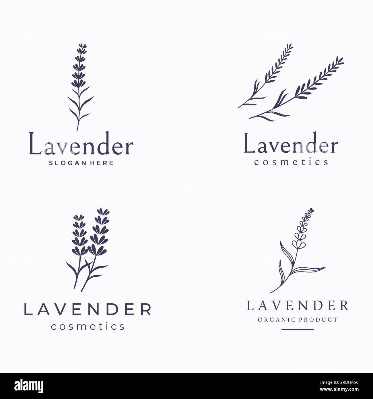 Design de logo de fleur de lavande organique dessiné à la main. Logo pour cosmétique, beauté, thé, huile, herbes. Illustration de Vecteur
