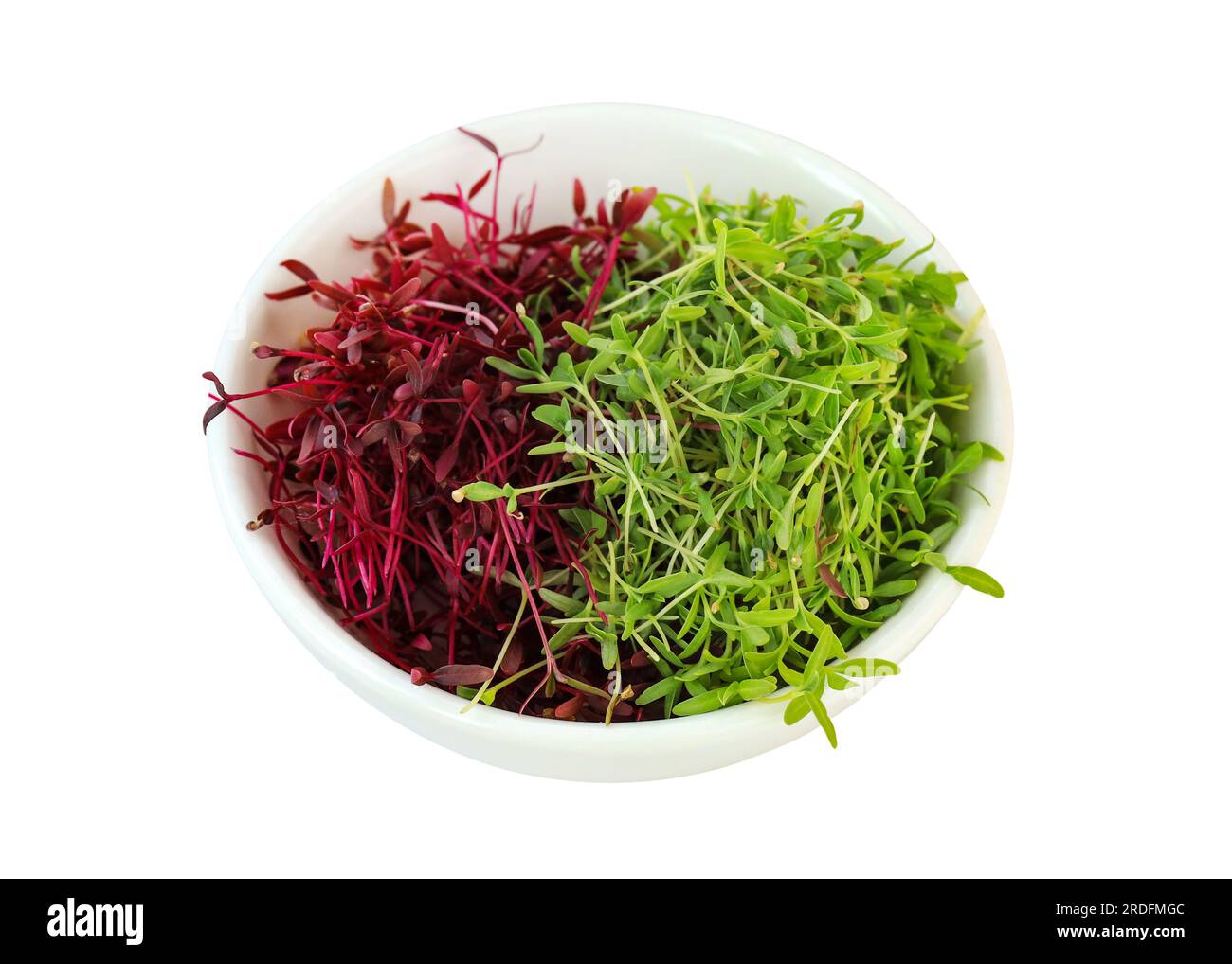 Microgreens d'amarante rouge et verte dans un bol blanc. Germes d'Amarante sur un fond blanc. Concept d'alimentation saine, aliments sains, vegetariani Banque D'Images