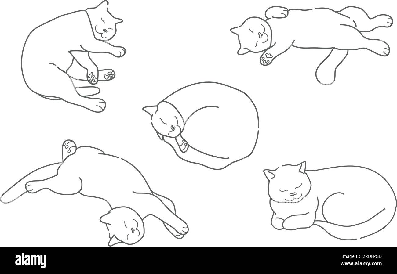Dessin de contour d'un chat endormi dans différentes poses. Chat dort