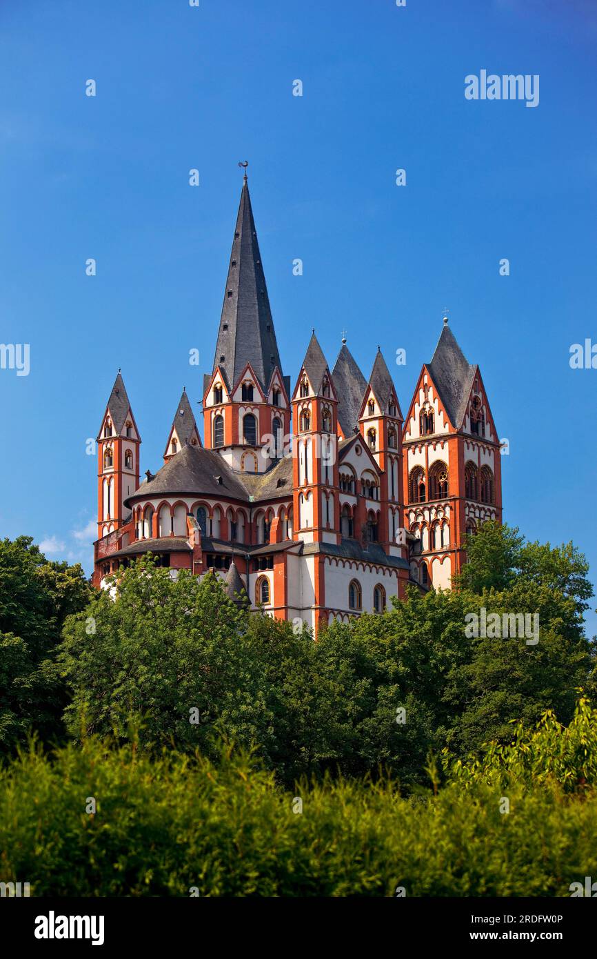 Cathédrale de Limbourg St. George sur le soi-disant Domberg, un rocher calcaire haut au-dessus de la vieille ville, Limburg an der Lahn, Hesse, Allemagne Banque D'Images