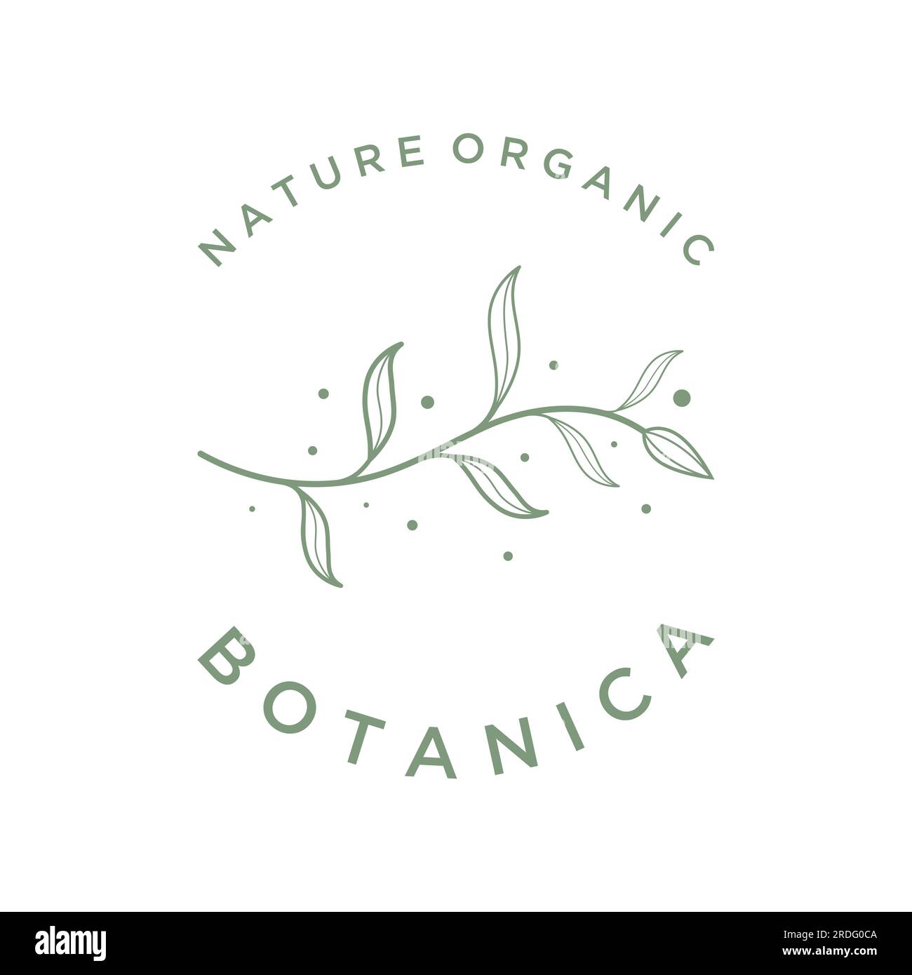 Logo délicat féminin botanique organique naturel dessiné à la main pour fleuriste, mariage, badge, photographe et beauté. Illustration de Vecteur