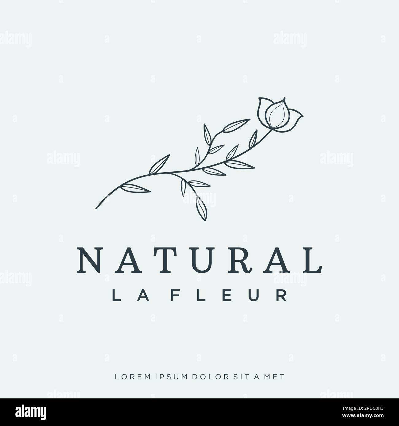Logo délicat féminin botanique organique naturel dessiné à la main pour fleuriste, mariage, badge, photographe et beauté. Illustration de Vecteur