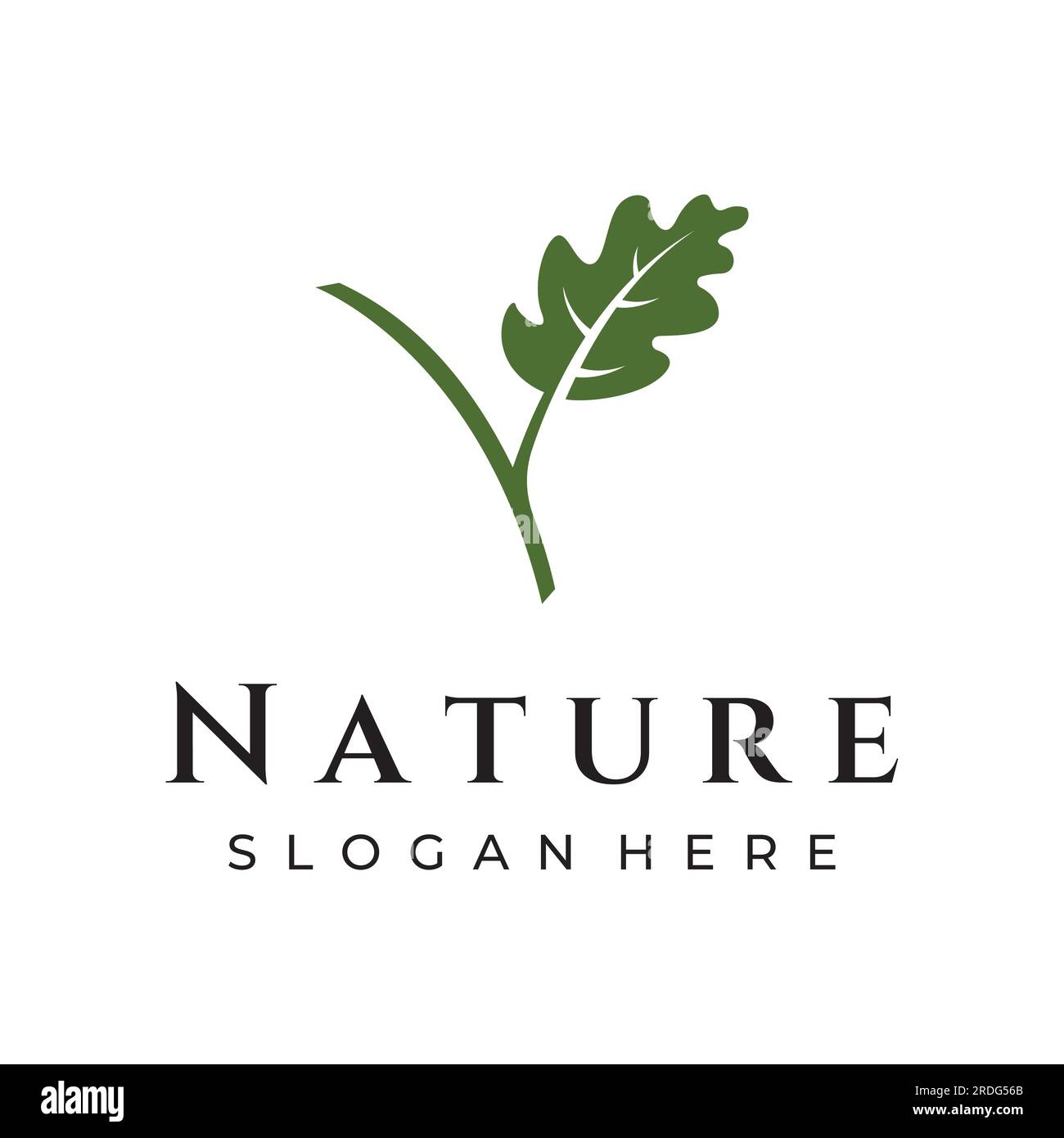 Logo de feuille de chêne d'automne et logo de chêne. Avec l'édition de l'illustration vectorielle. Illustration de Vecteur