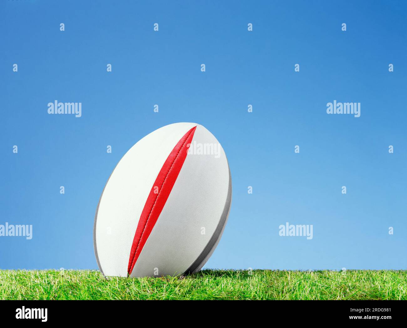 ballon de rugby sur grass01 03 03.tif Banque D'Images