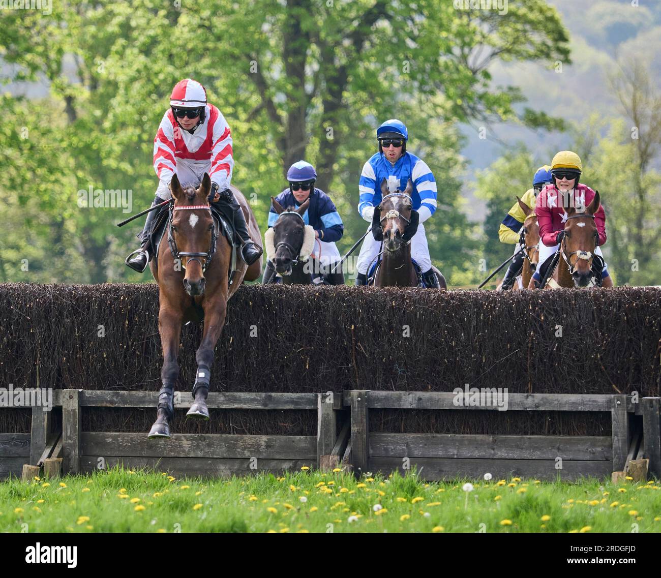 Godstone point à point steeplechase course de chevaux Surrey Banque D'Images