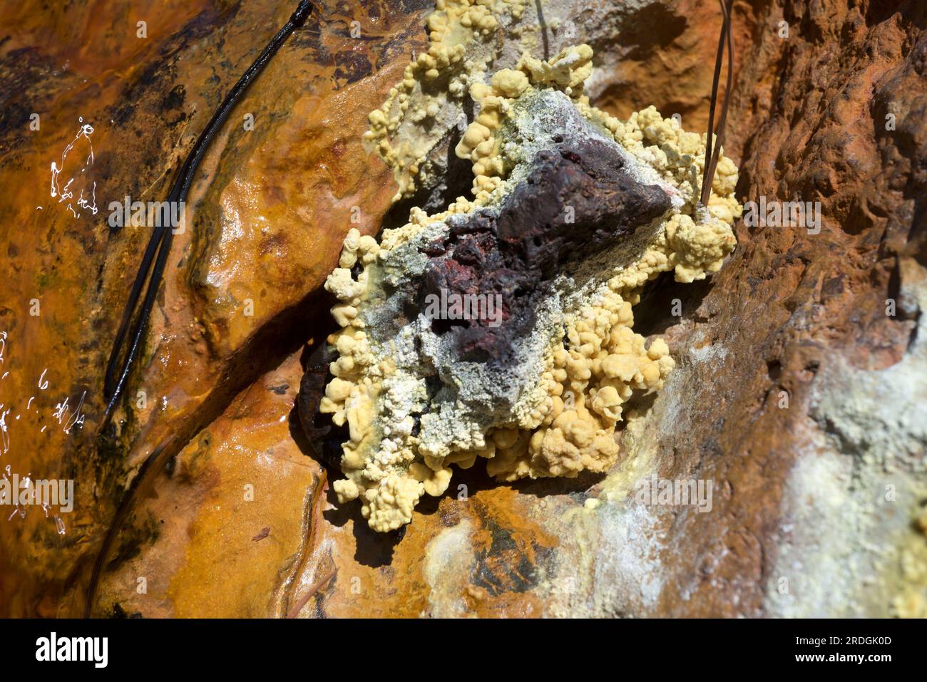 Les eaux acides de Rio Tinto provenant des mines de Riotinto. Ces eaux toxiques contiennent des métaux lourds et des bactéries extremophiles (Acidithiobacillus ferrooxidans et L Banque D'Images