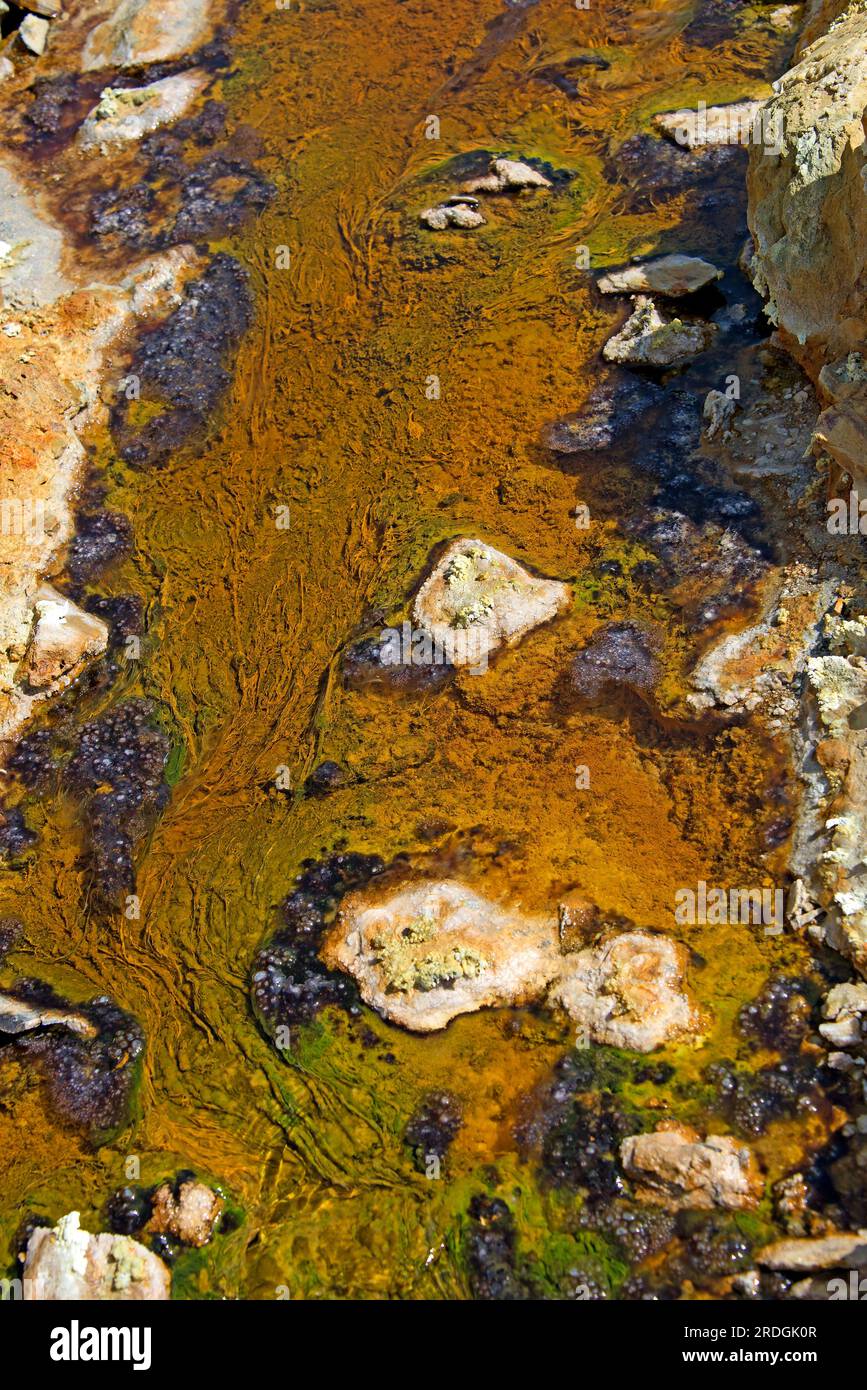 Les eaux acides de Rio Tinto provenant des mines de Riotinto. Ces eaux toxiques contiennent des métaux lourds et des bactéries extremophiles (Acidithiobacillus ferrooxidans et L Banque D'Images