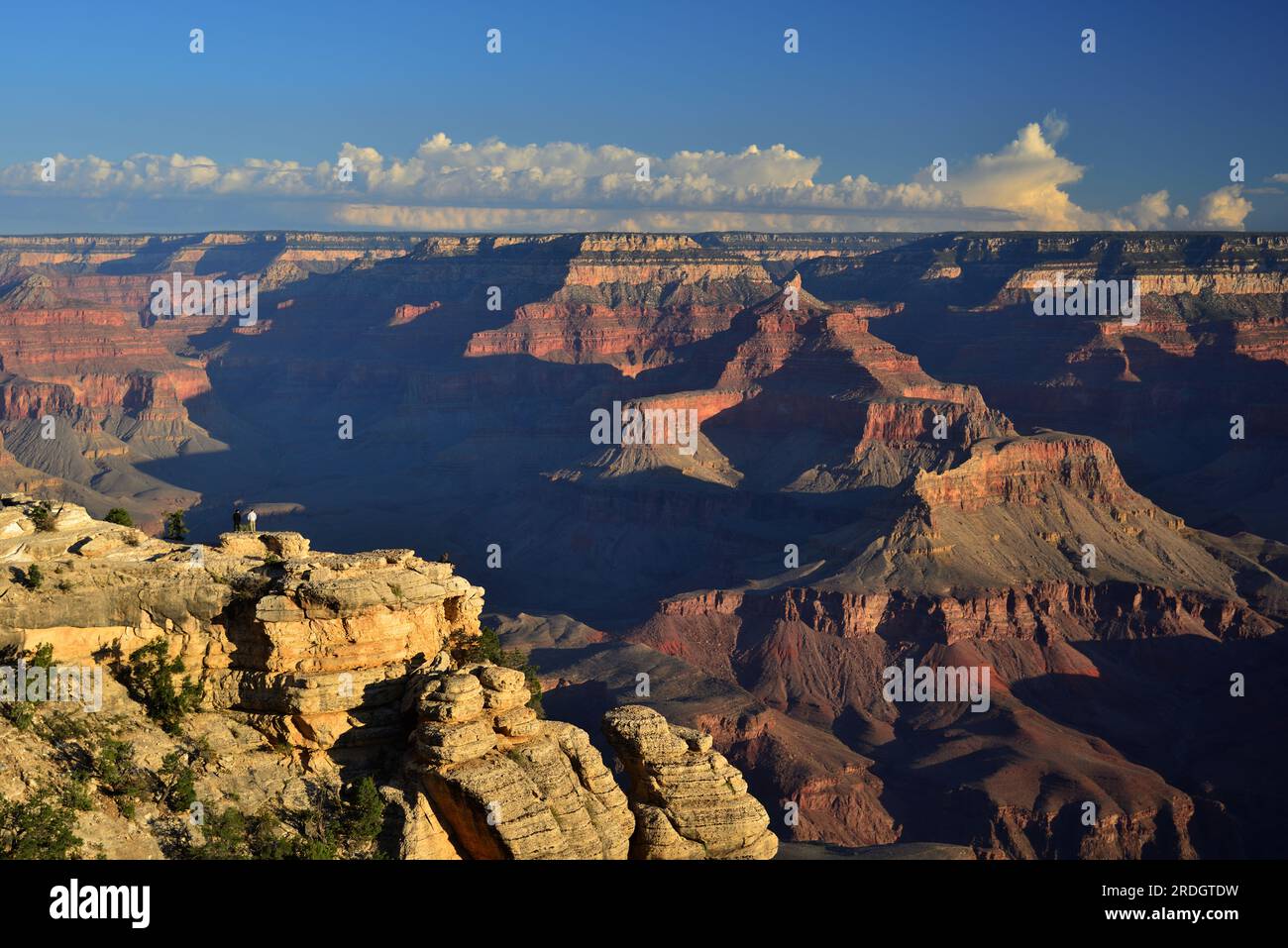 Vues du paysage du Grand Canyon - Parc national du Grand Canyon, Arizona, États-Unis d'Amérique Banque D'Images