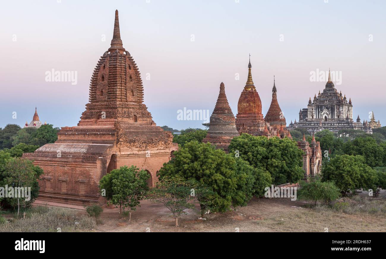 Vieux temples birmans en briques dans les arbres verts au coucher du soleil. Banque D'Images