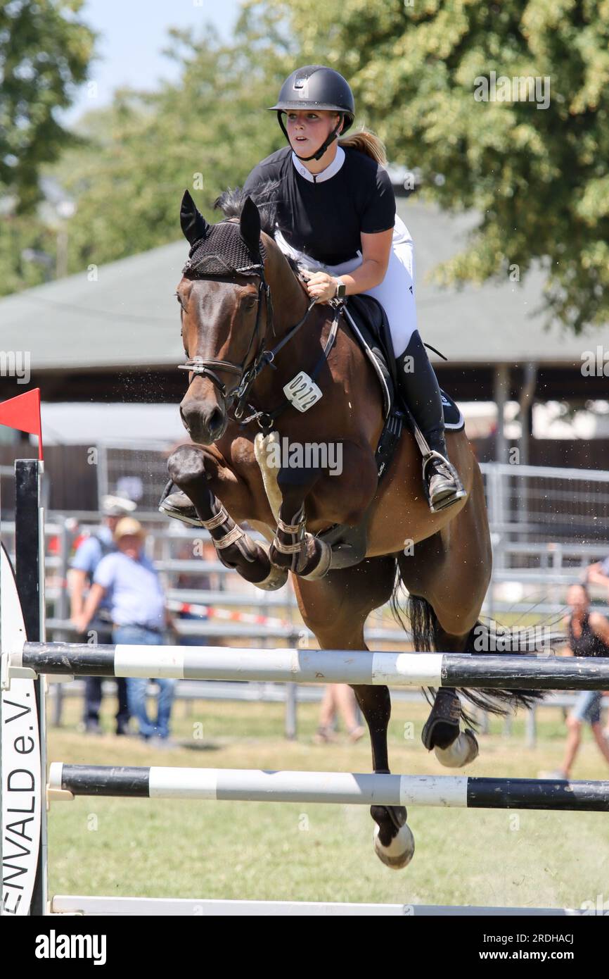 concours d'équitation en allemagne Banque D'Images