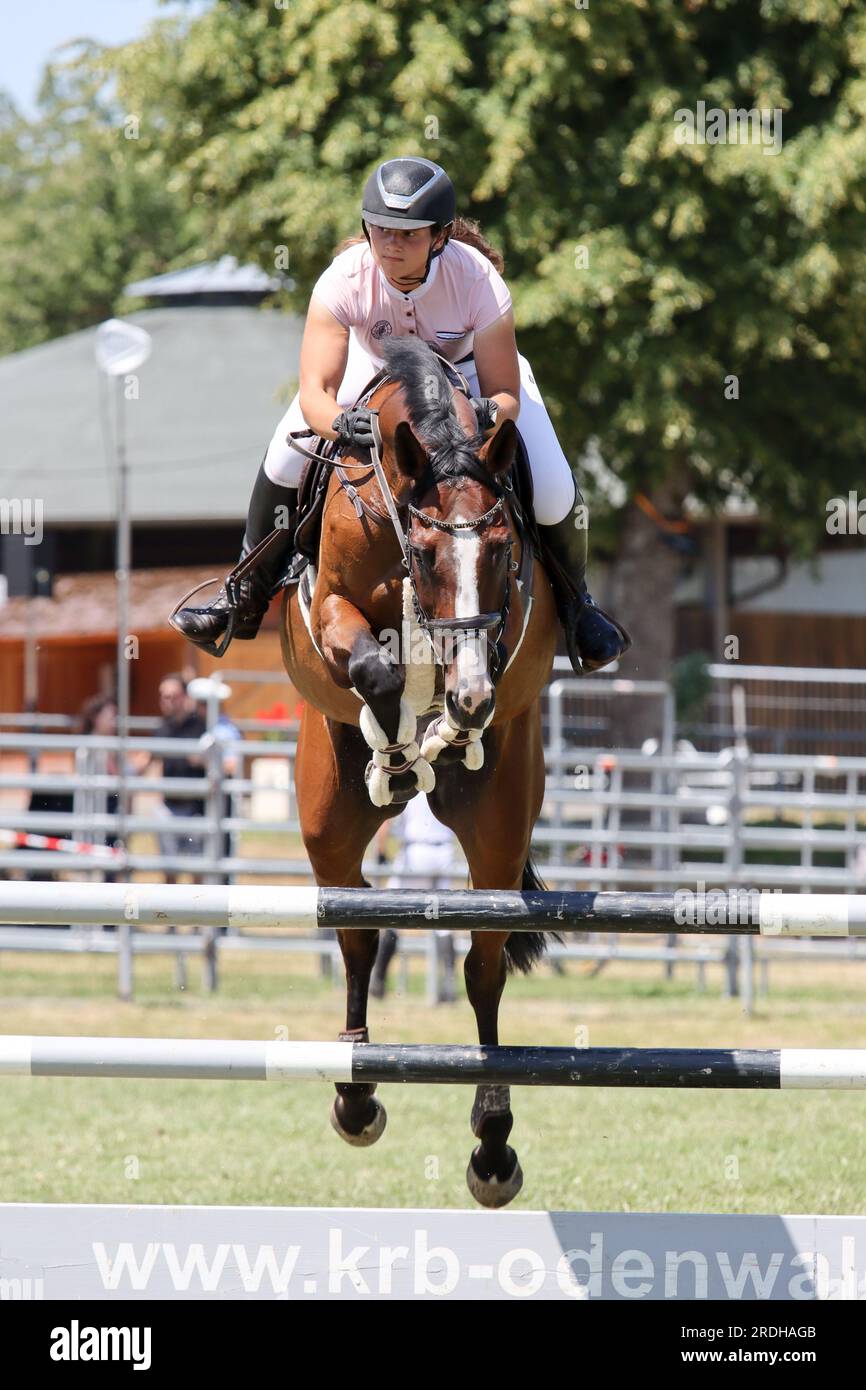 concours d'équitation en allemagne Banque D'Images