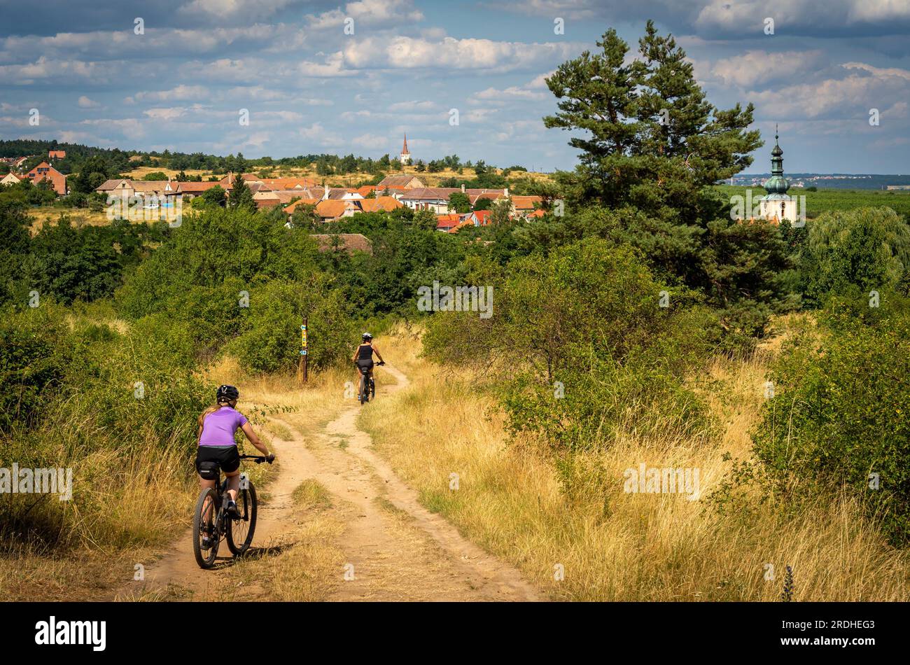 Cyclisme dans la région de moravie du sud de la République tchèque. Beau paysage rural autour de Znojmo avec des vignes et de nombreux sentiers de randonnée et VTT Banque D'Images