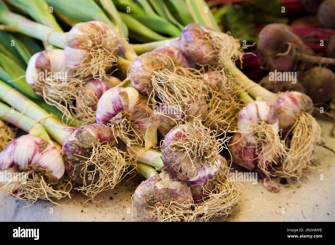 Ail et betterave fraîchement récoltés pour la vente au marché des fermiers en France en été. Banque D'Images