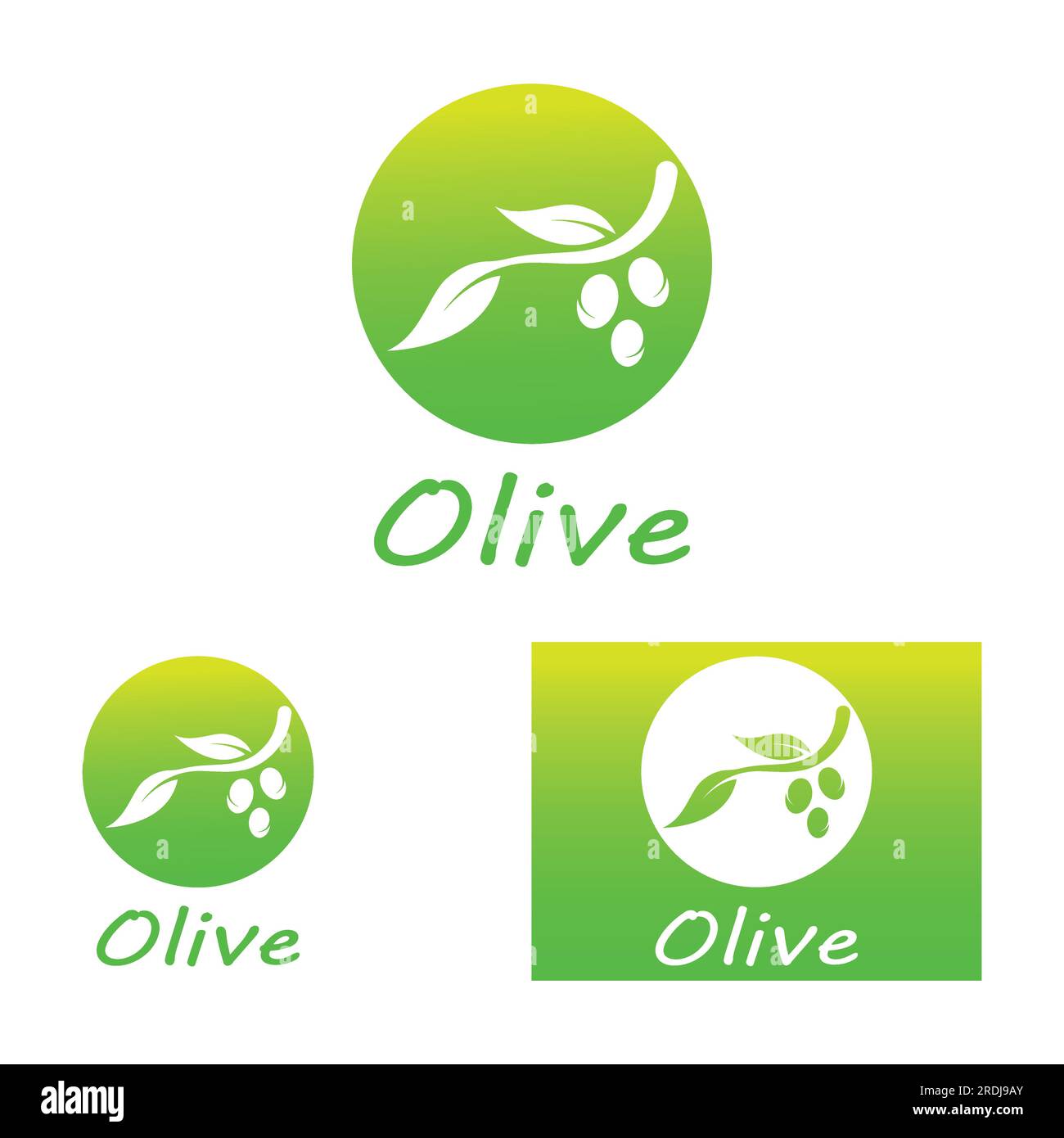 conception d'illustration vectorielle d'icône olive Illustration de Vecteur