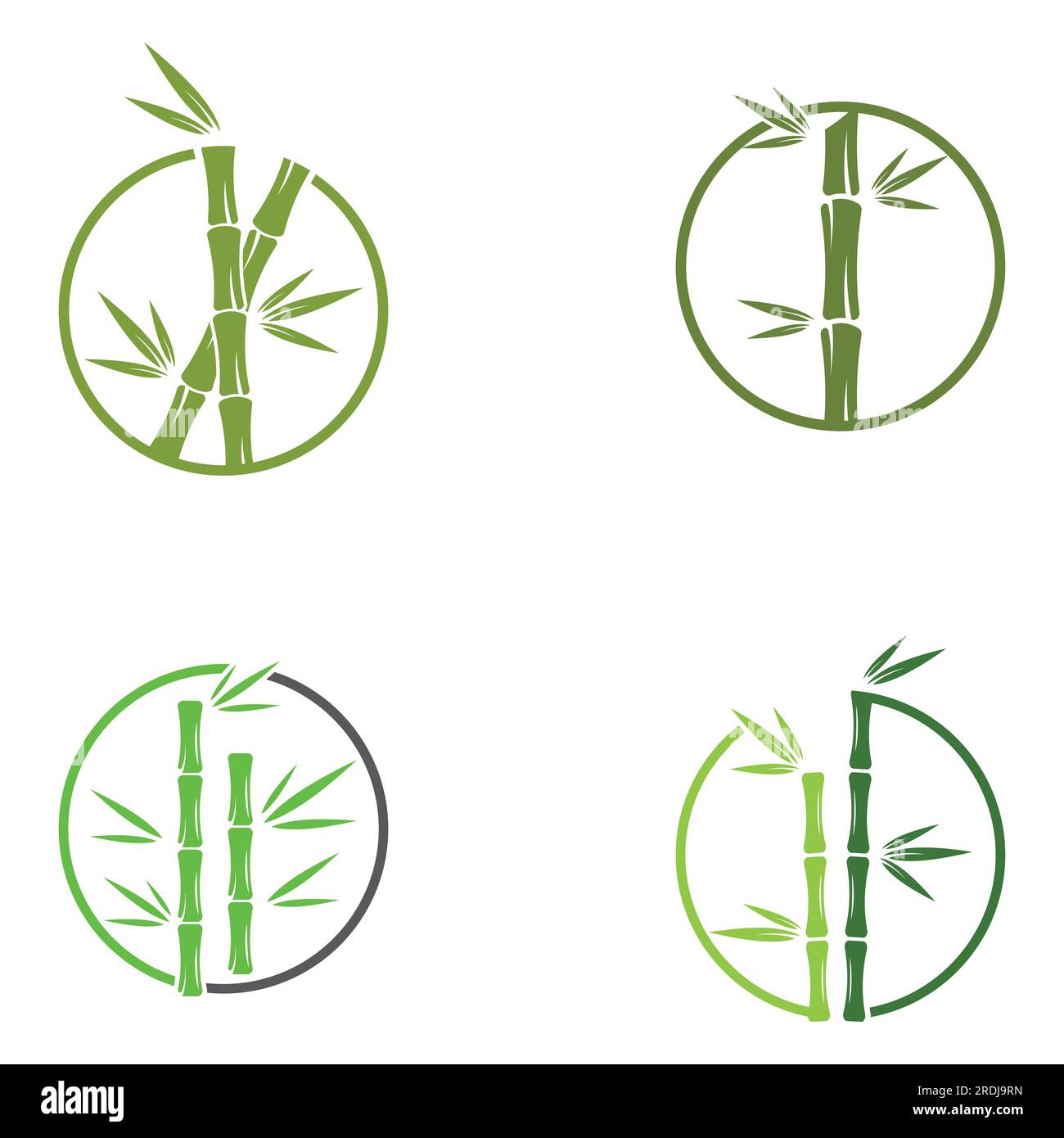 Logo d'une plante de bambou ou d'un type de plante creuse. Utilisation d'une conception de concept vectoriel moderne Illustration de Vecteur