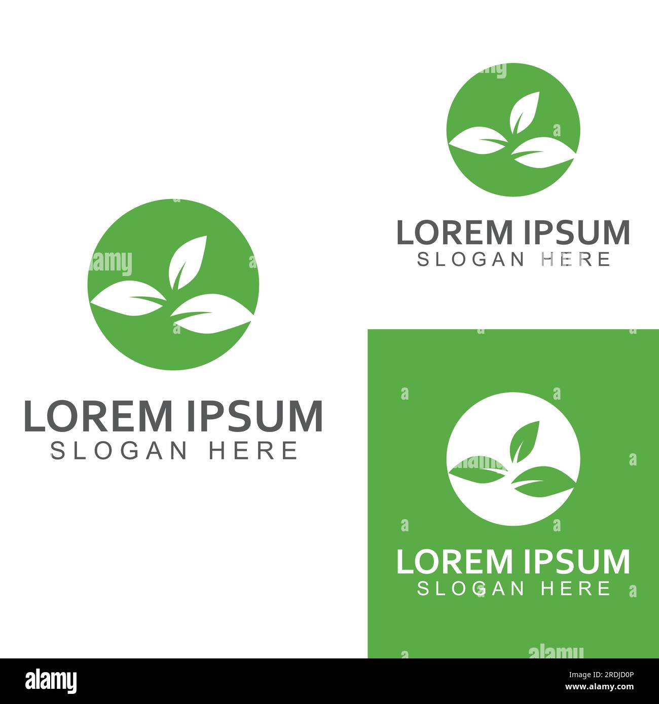 Logo feuille verte. Conception vectorielle des jardins, des plantes et de la nature. Illustration de Vecteur