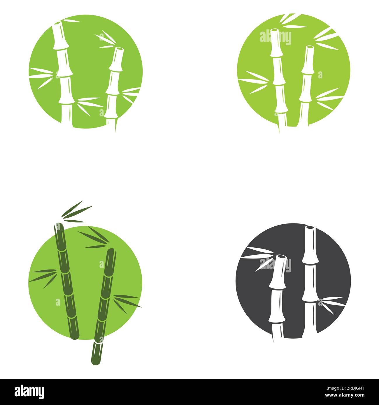 Logo d'une plante de bambou ou d'un type de plante creuse. Utilisation d'une conception de concept vectoriel moderne Illustration de Vecteur